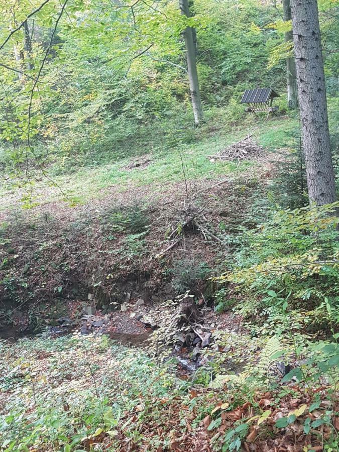 Stas -Przy Szkole Nr 3 W Skawie Skawa Esterno foto